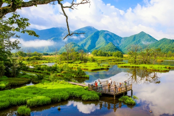 神农架景区有哪些主要景点，怎么游玩？