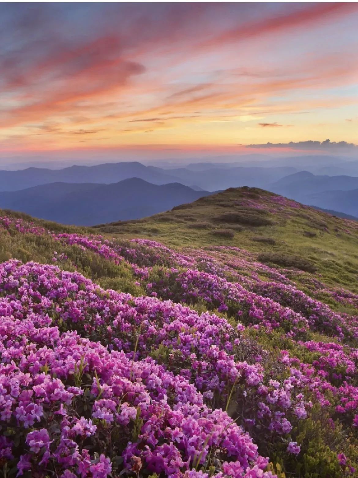 微信图片_20230427171308