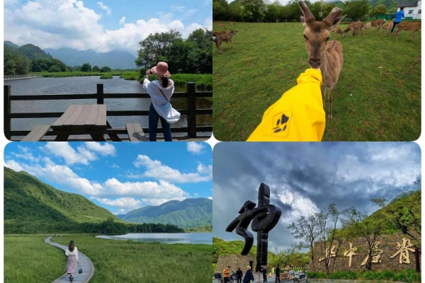 去神农架有必要跟团吗?看完这篇再决定