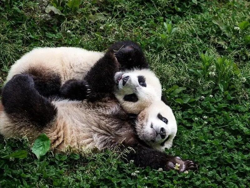 微信图片_2026-04-01_084015_102_副本