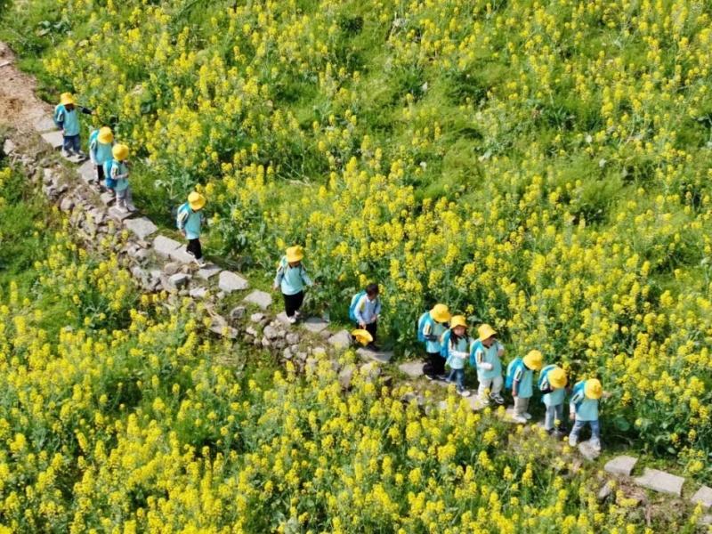 微信图片_2026-04-01_083951_879_副本