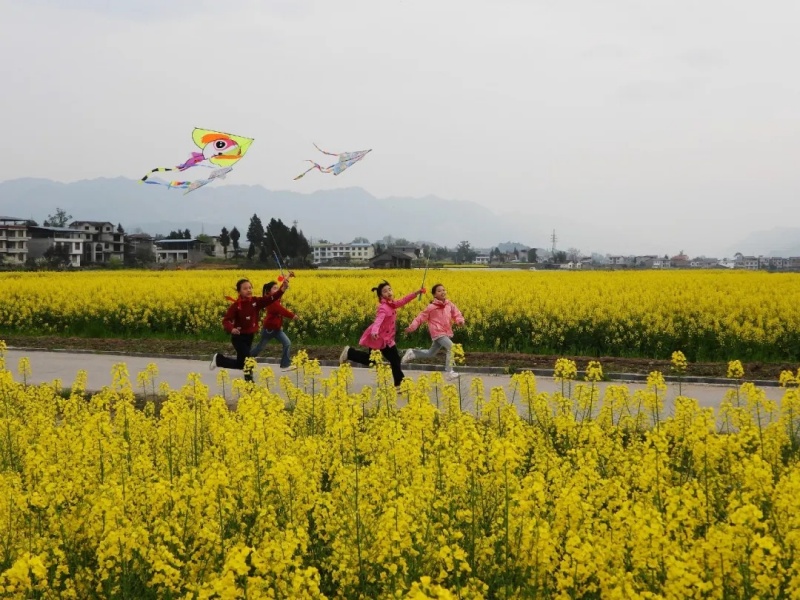 微信图片_2026-04-01_083930_799_副本