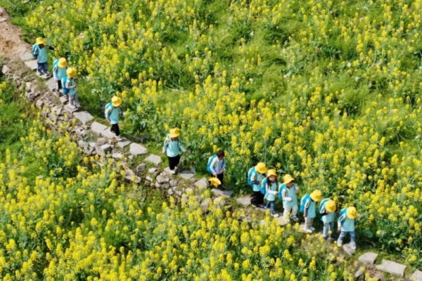 春假清明连放6天！这些地方的优惠别错过