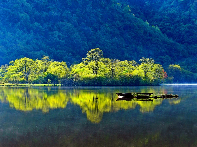 亚高山湿地_副本
