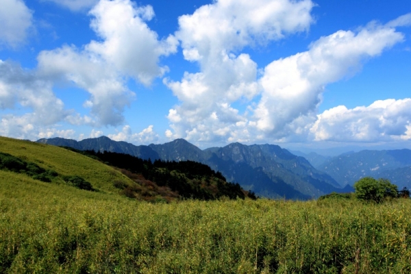 去神农架旅游需要准备什么？出行干货全覆盖