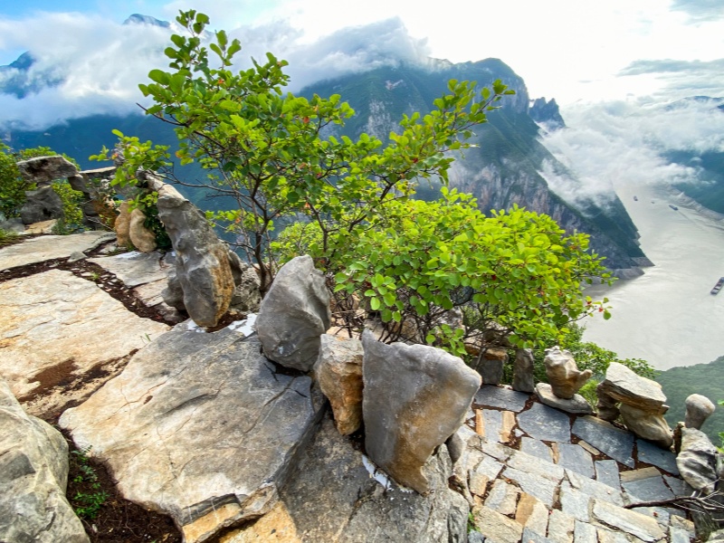 微信图片_20240624101109_副本