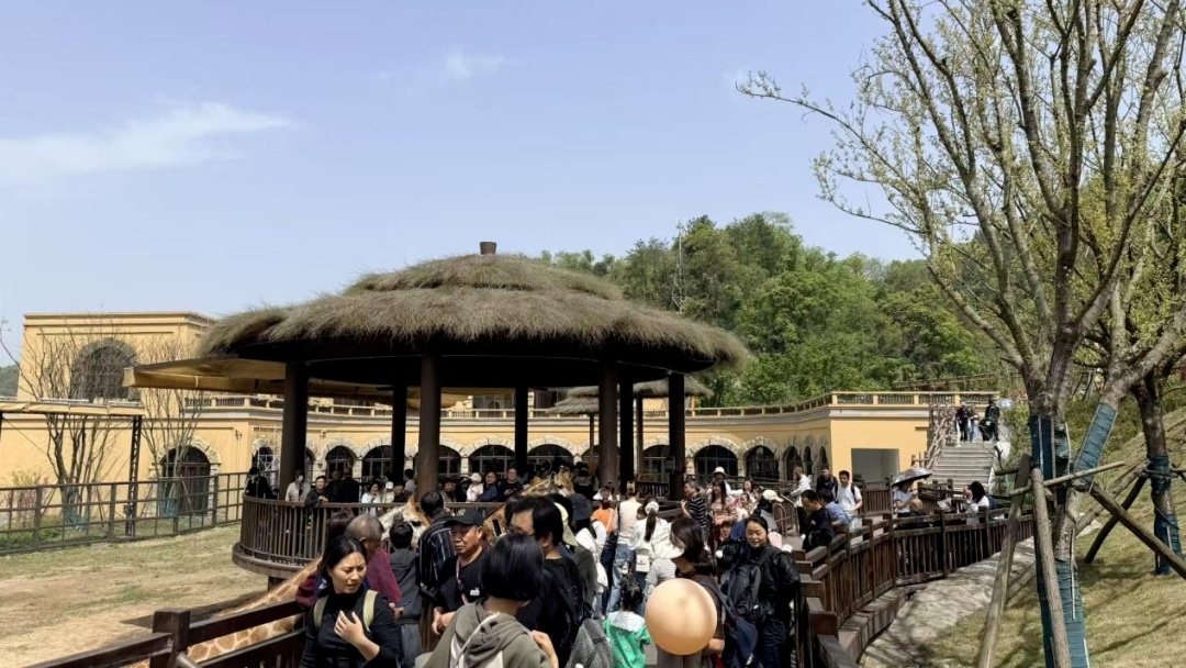 微信图片_2026-04-07_090209_478_副本