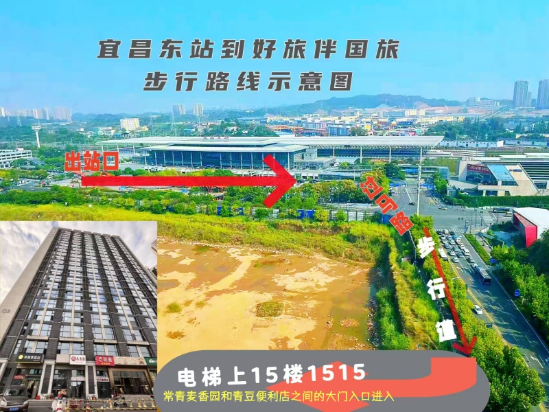 湖北好旅伴国际旅行社地址