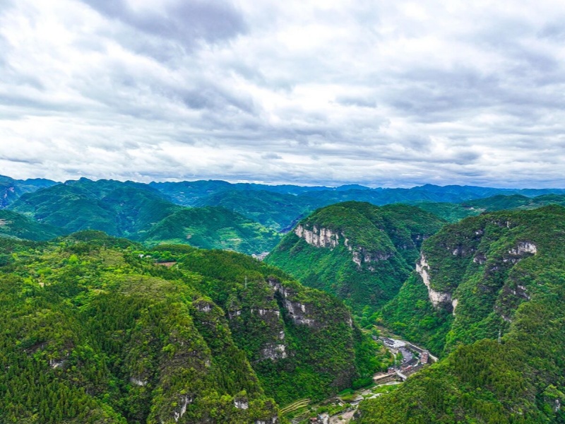 微信图片_2026-04-09_093434_012_副本