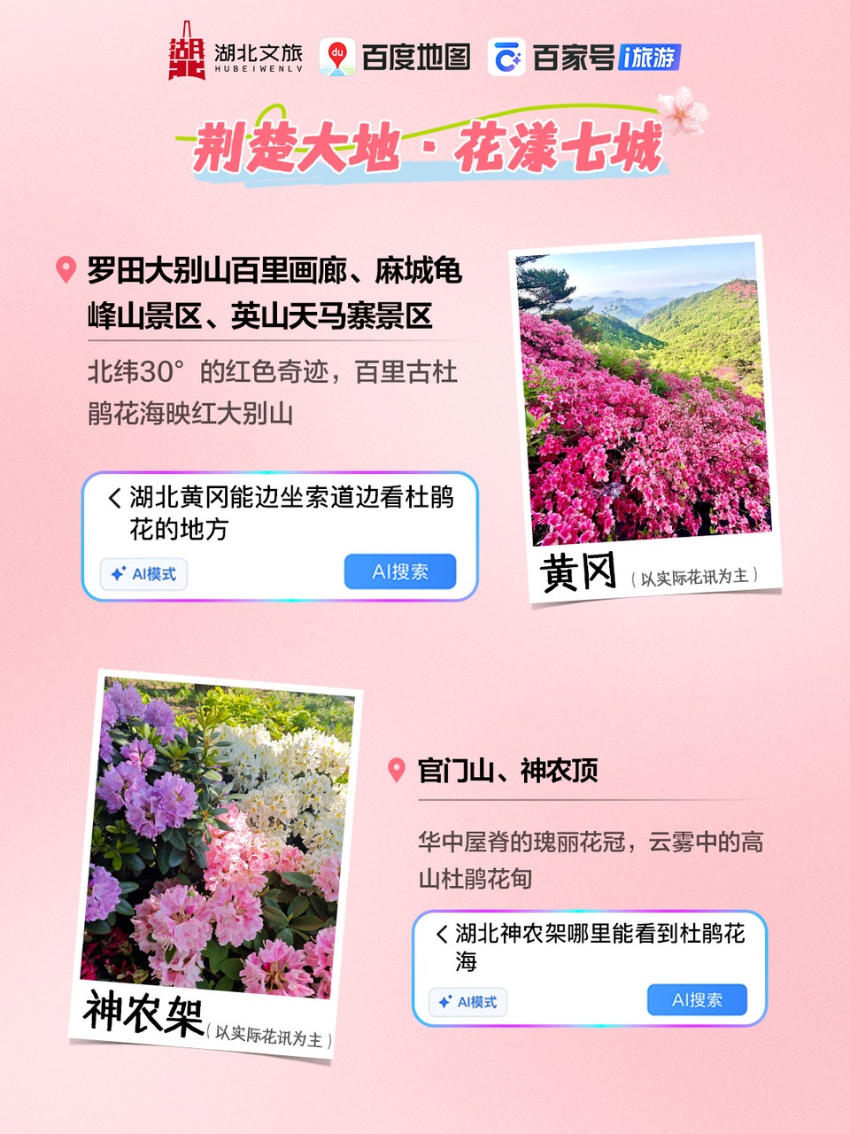 微信图片_2026-04-10_090707_736_副本