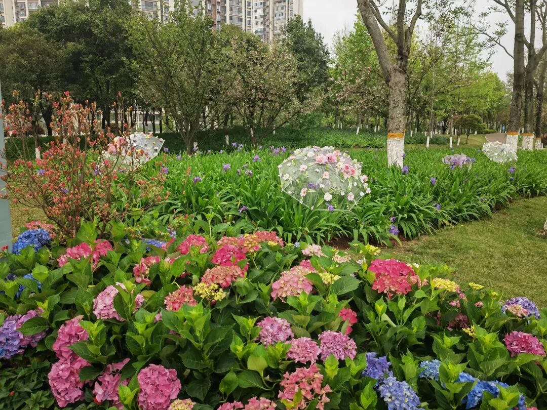 微信图片_2026-04-12_091445_361