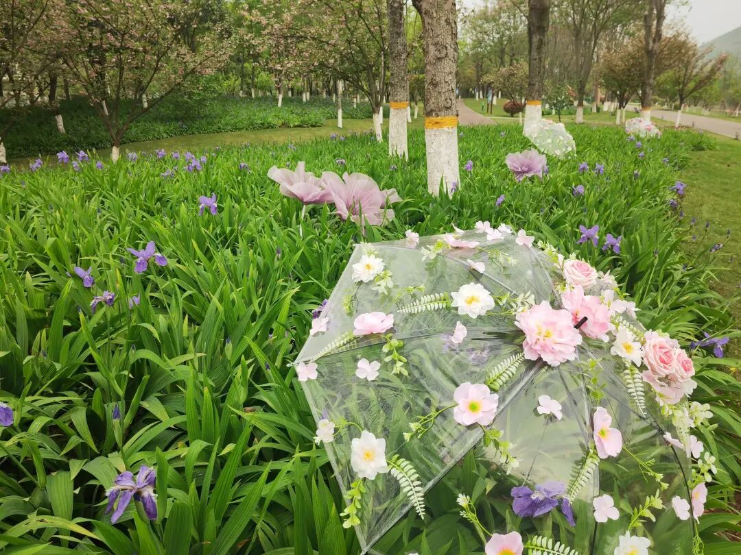 微信图片_2026-04-12_091502_993