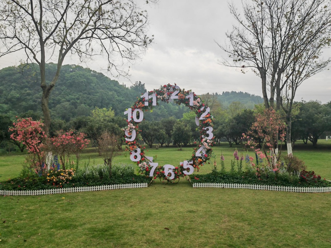 微信图片_2026-04-12_091458_936_副本