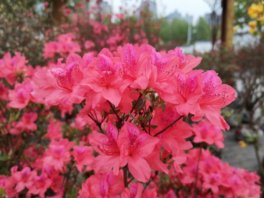 微信图片_2026-04-12_091449_947_副本