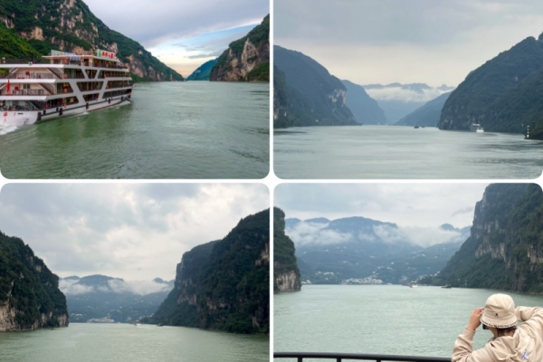 五一船进三峡人家在哪个码头登船？