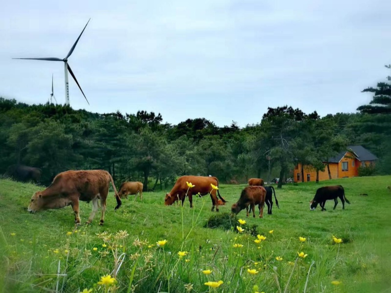 微信图片_20210617102208_副本