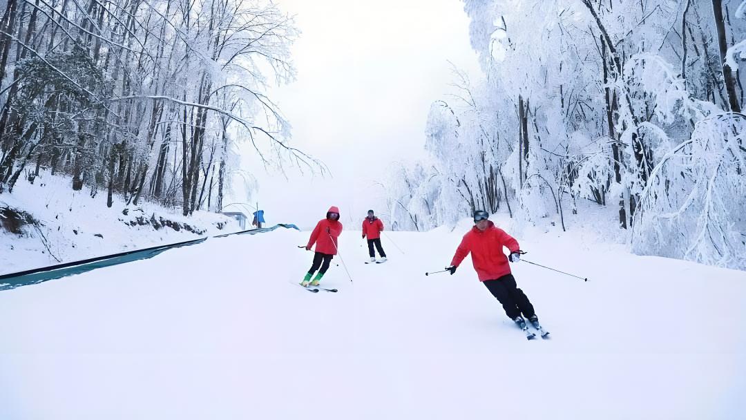 中和滑雪2