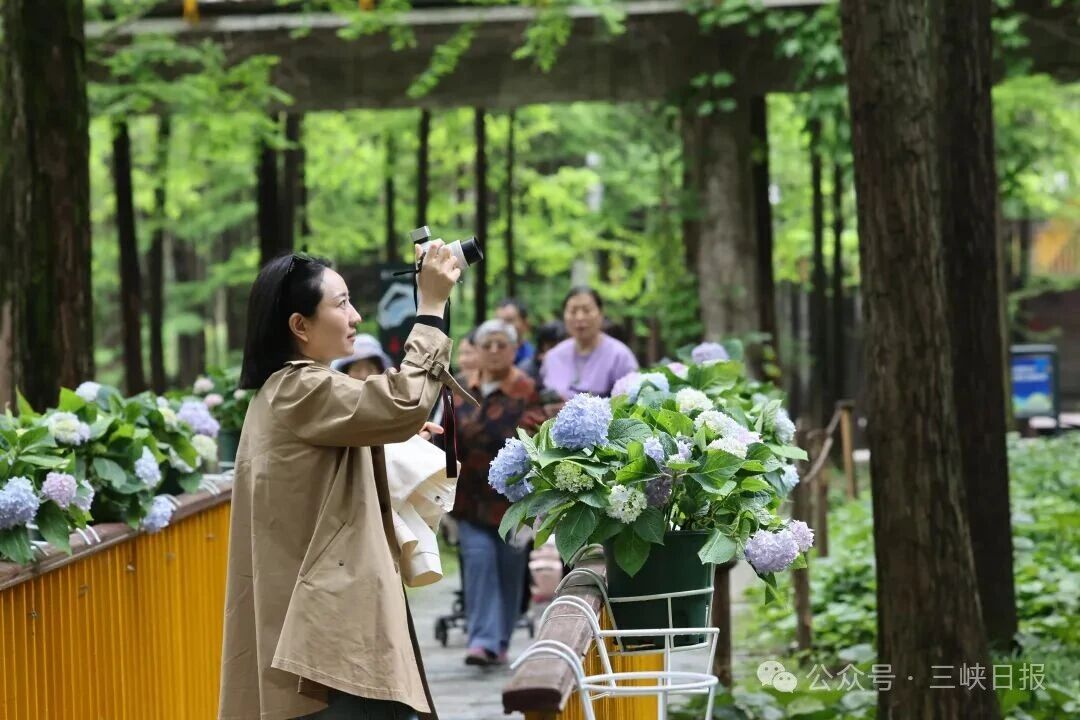 微信图片_2026-04-23_084128_545