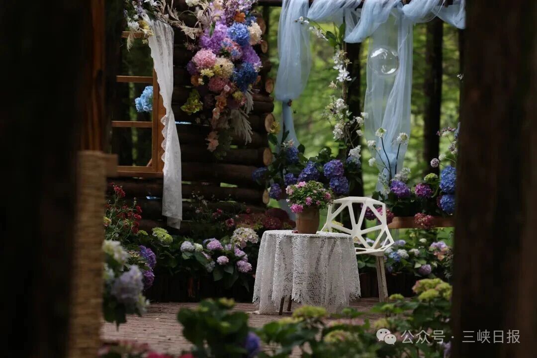 微信图片_2026-04-23_084133_520