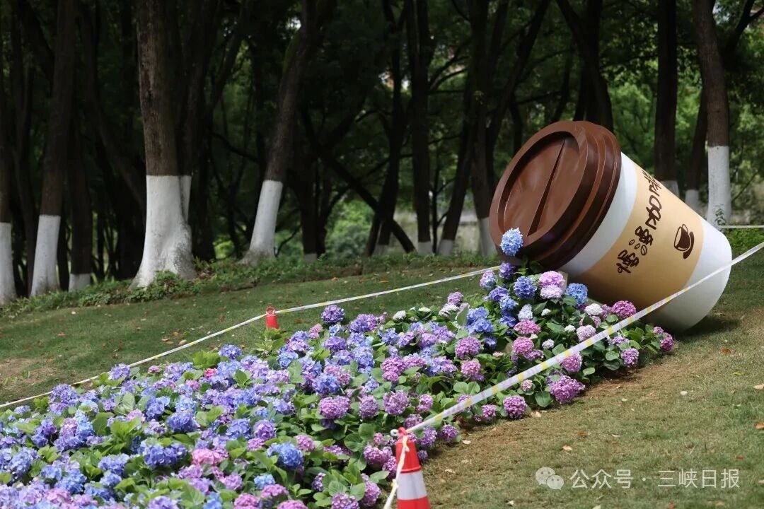 微信图片_2026-04-23_084138_519