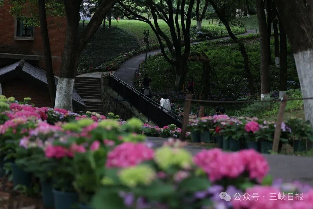 微信图片_2026-04-23_084225_936