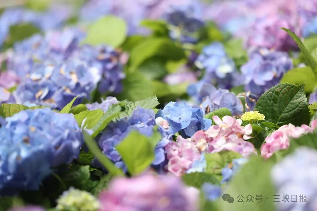 微信图片_2026-04-23_084357_712