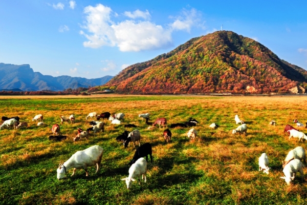 去神农架需要带哪些物品？