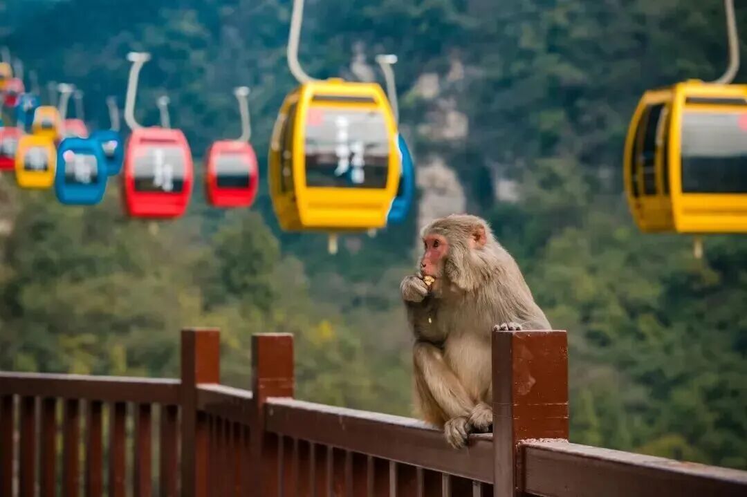 微信图片_2026-04-26_091502_397