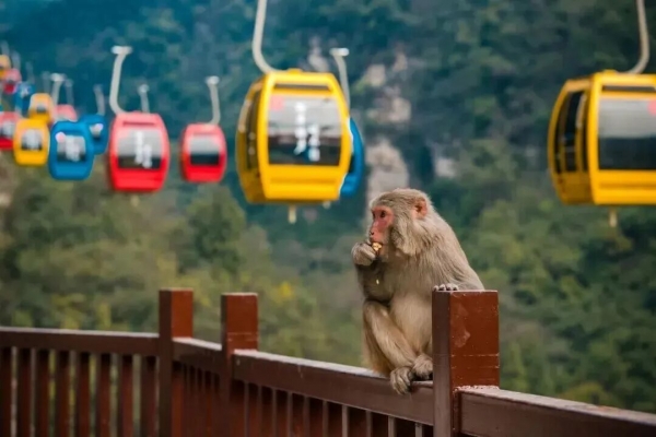 西陵峡·三峡猴溪风景区临时闭园公告