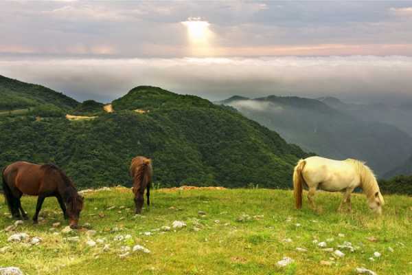 宜昌到百里荒旅游全攻略