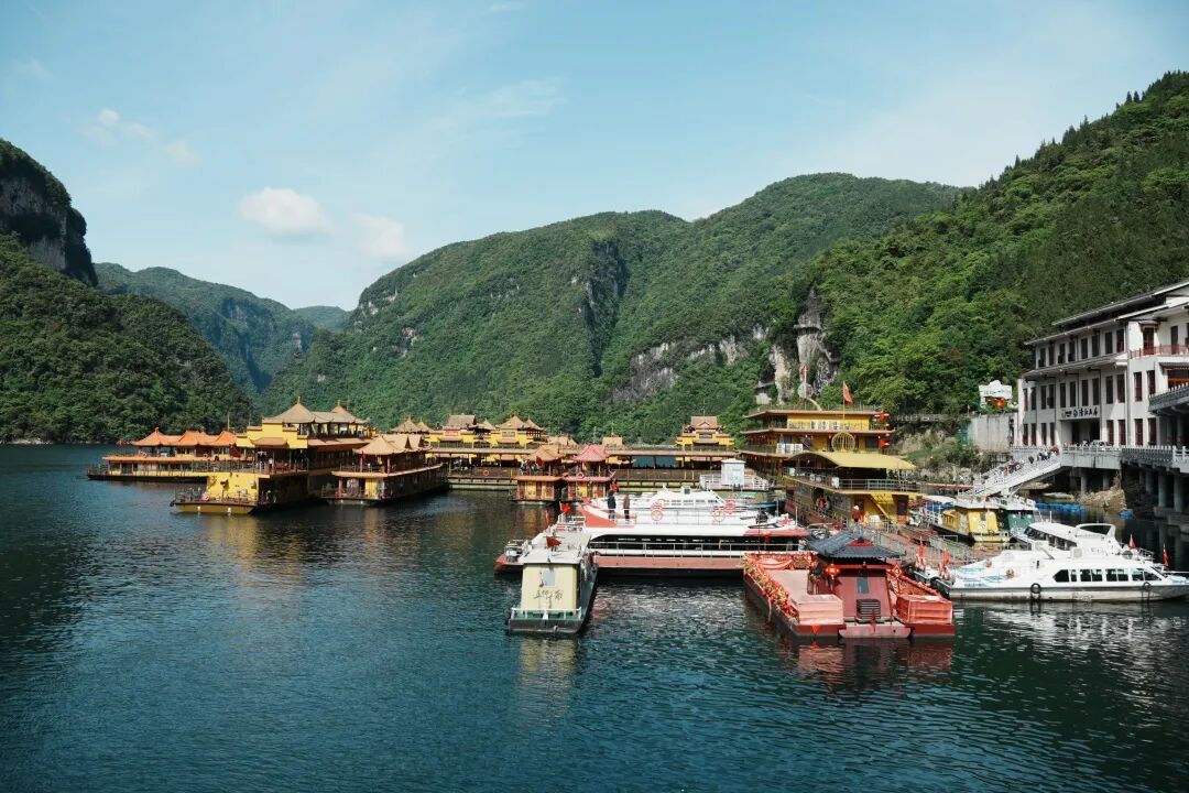 微信图片_2026-04-29_091737_728