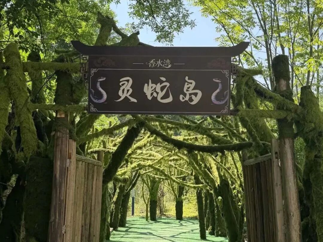 微信图片_2026-05-05_091246_974
