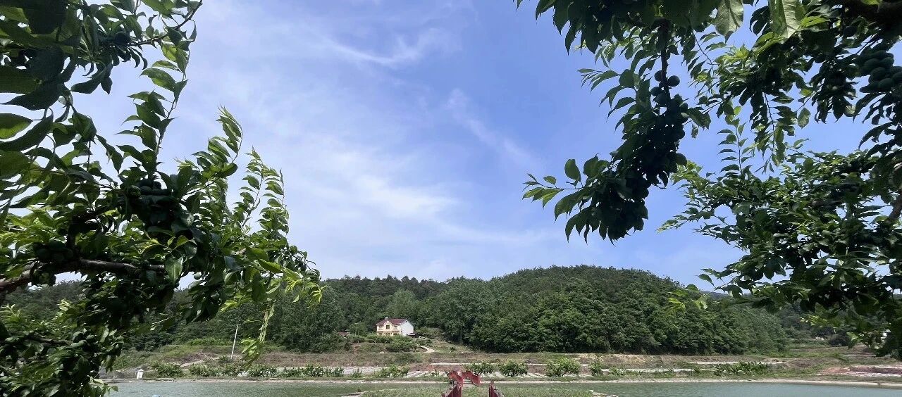 微信图片_2026-05-12_084241_071