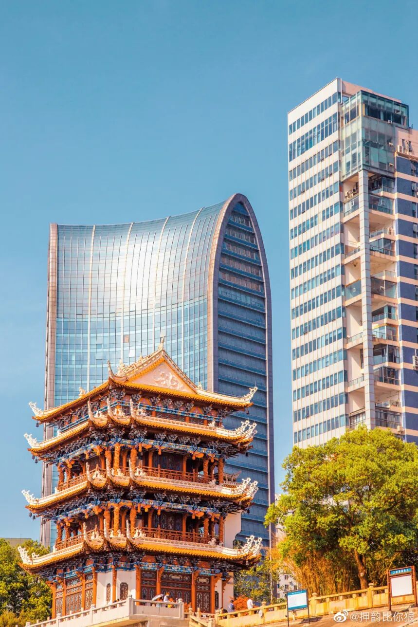 微信图片_2026-05-13_084623_556