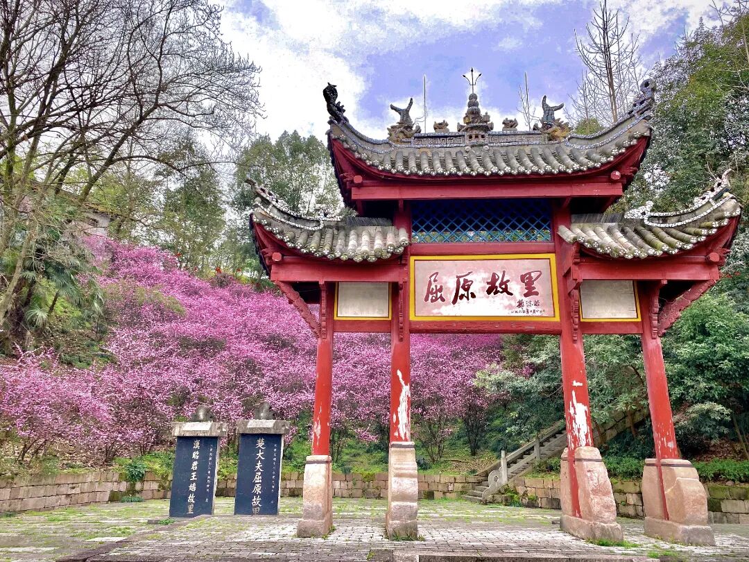 微信图片_2026-05-13_085511_298
