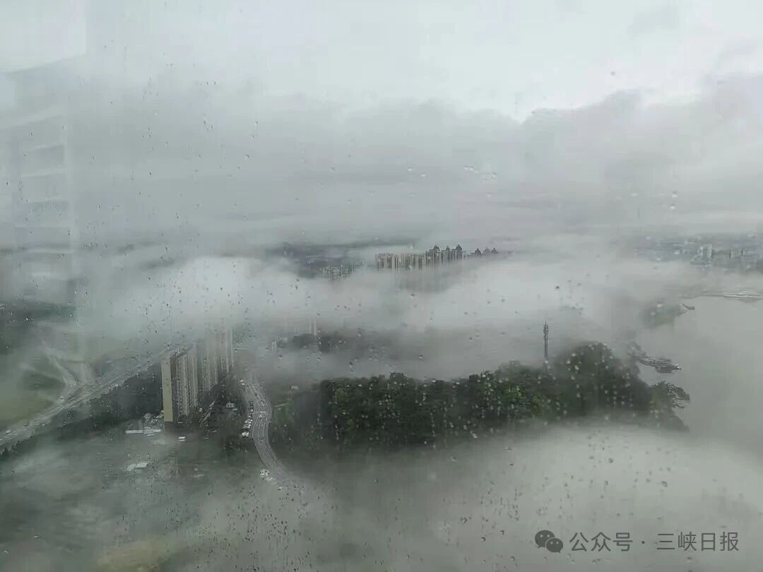 微信图片_2026-05-18_084811_535
