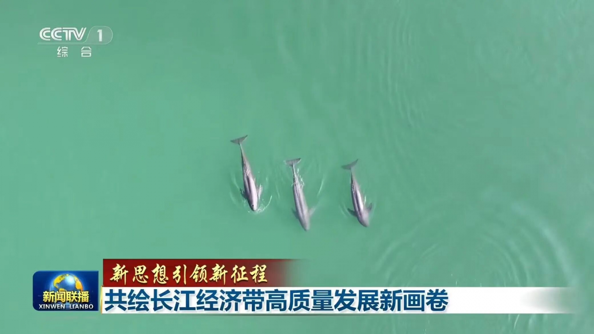 微信图片_2026-05-20_085126_016