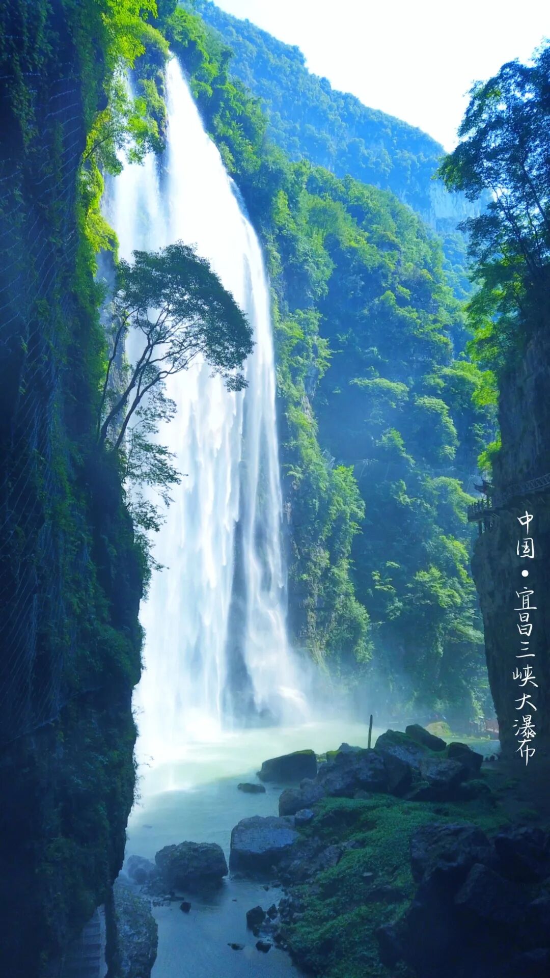 微信图片_2026-06-11_090629_642