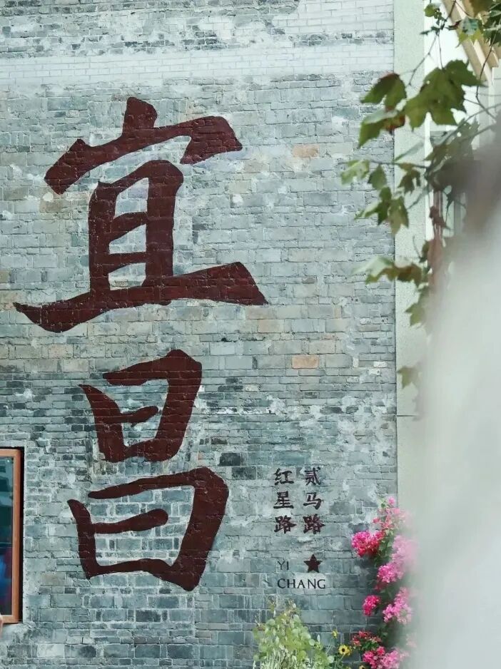 微信图片_2026-06-11_091130_428