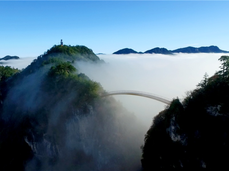 W020220228540886199023_副本
