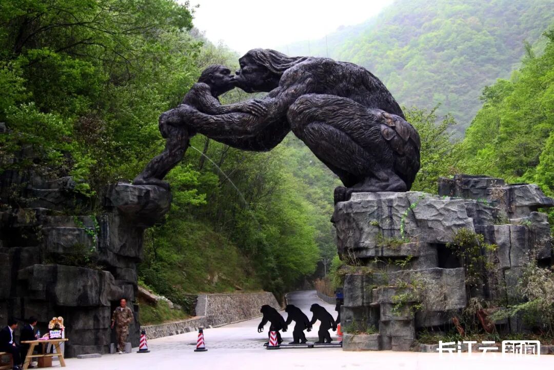 微信图片_2026-07-15_090222_823