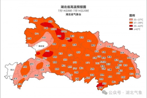 湖北高温预警！躲进神农架20℃清凉秘境，附2026中高考免票及楚超特惠攻略