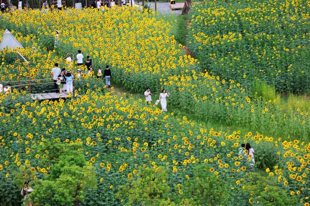 微信图片_2026-08-10_085812_450