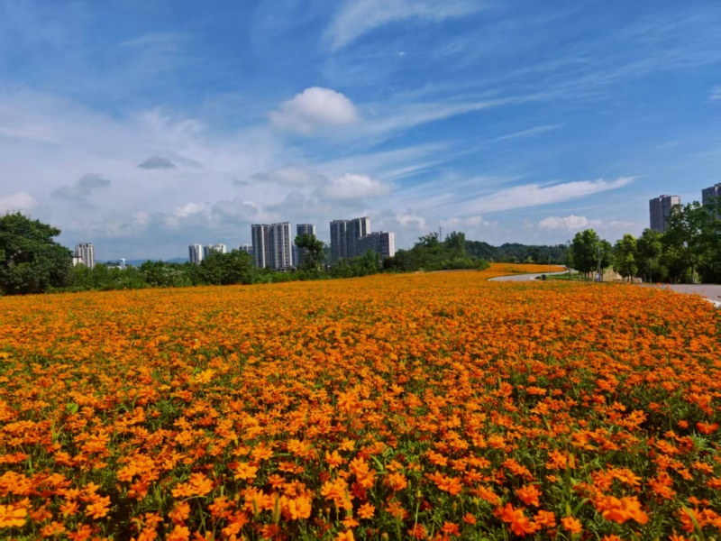 微信图片_2026-08-10_085947_745_副本