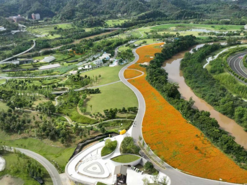 微信图片_2026-08-10_085934_017_副本