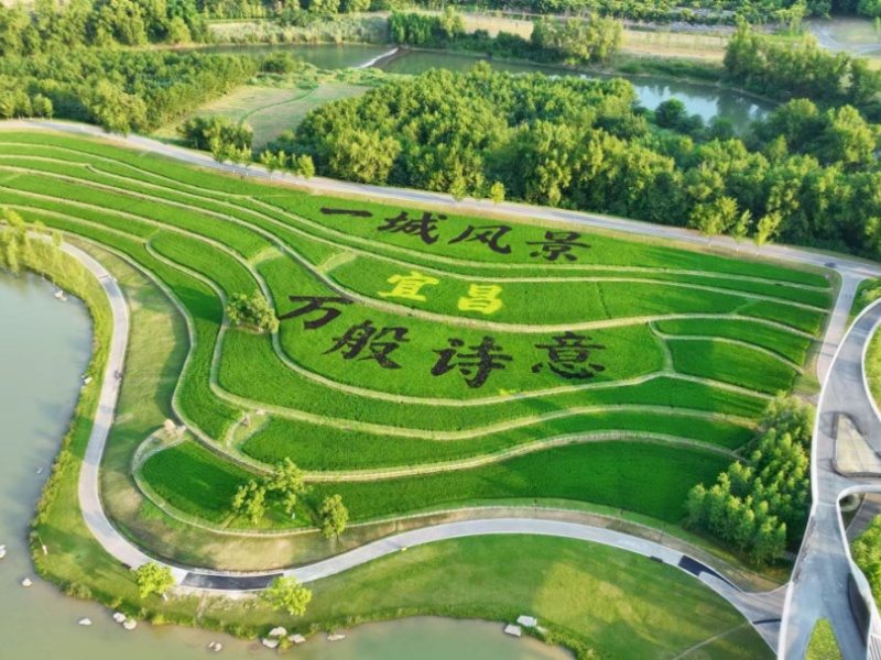 微信图片_2026-08-10_090020_681_副本