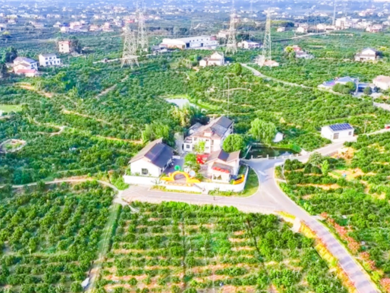 微信图片_2026-09-15_085030_701_副本