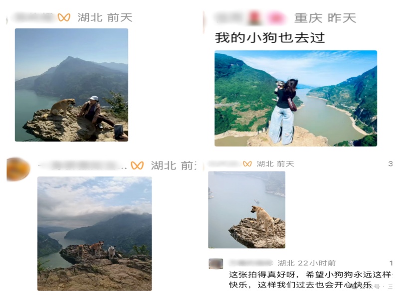 b9e60b9fd01333b87b5a4bf12c8d517a_副本